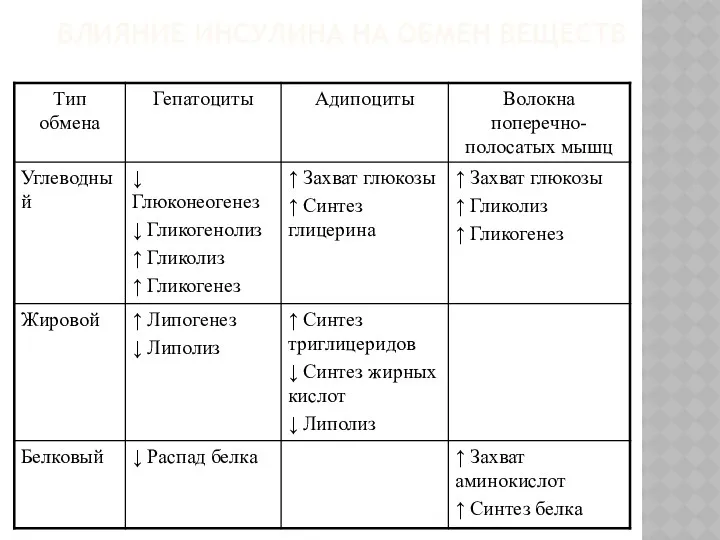 ВЛИЯНИЕ ИНСУЛИНА НА ОБМЕН ВЕЩЕСТВ