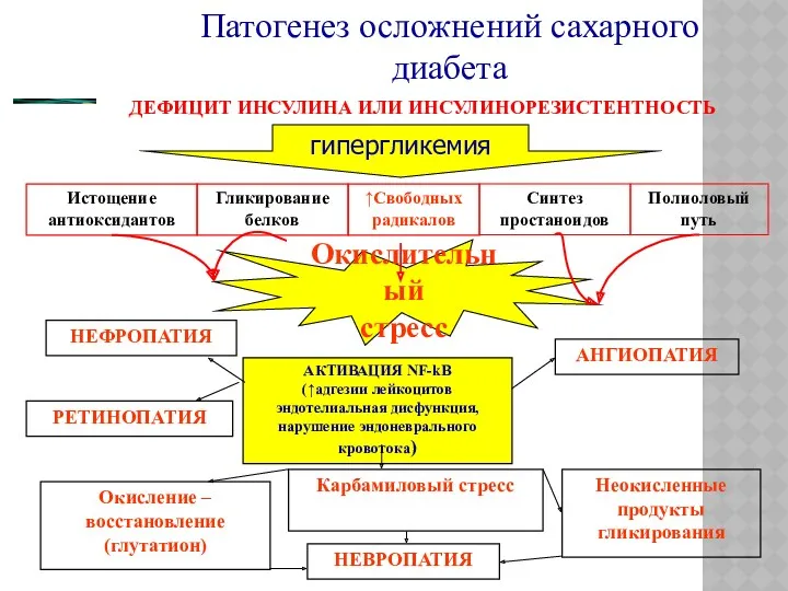 Синтез простаноидов Истощение антиоксидантов Гликирование белков ↑Свободных радикалов Окислительный стресс