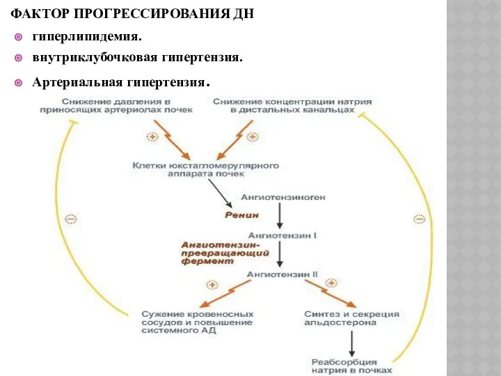 ФАКТОР ПРОГРЕССИРОВАНИЯ ДН гиперлипидемия. внутриклубочковая гипертензия. Артериальная гипертензия.