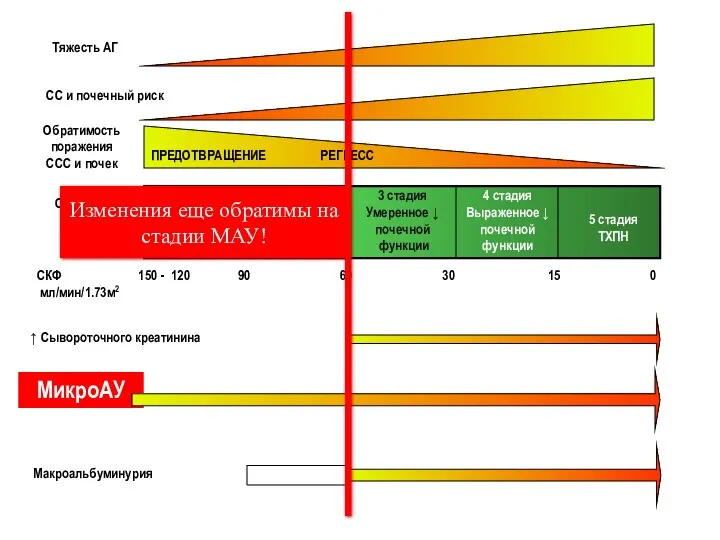 Presentation Title Date Company Confidential © 200X Abbott 1 стадия