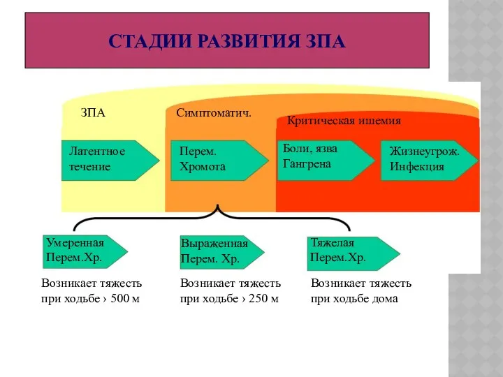 Латентное течение Перем. Хромота Боли, язва Гангрена Жизнеугрож. Инфекция ЗПА