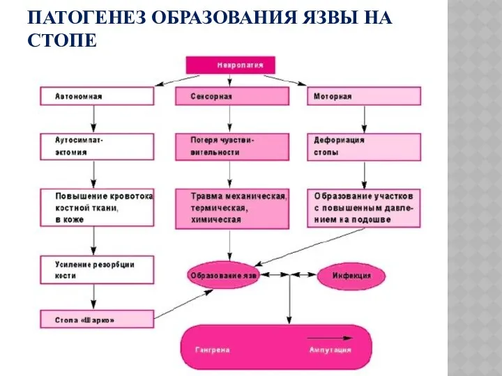 ПАТОГЕНЕЗ ОБРАЗОВАНИЯ ЯЗВЫ НА СТОПЕ