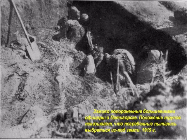 Заживо похороненные большевиками офицеры в Пятигорске. Положение трупов показывает, что погребенные пытались выбраться