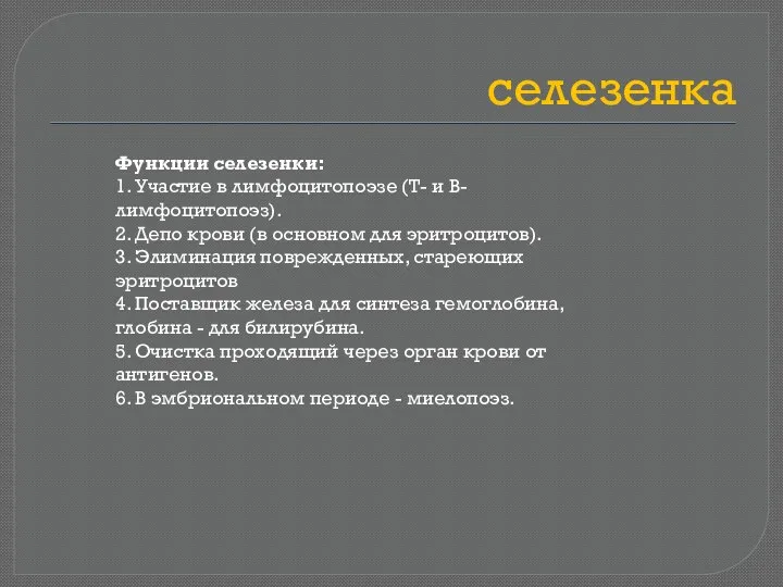 селезенка Функции селезенки: 1. Участие в лимфоцитопоэзе (Т- и В-лимфоцитопоэз).