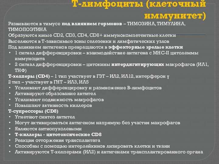 Т-лимфоциты (клеточный иммунитет) Развиваются в тимусе под влиянием гормонов –