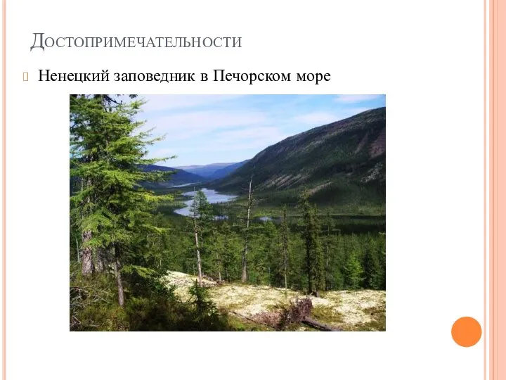 Достопримечательности Ненецкий заповедник в Печорском море