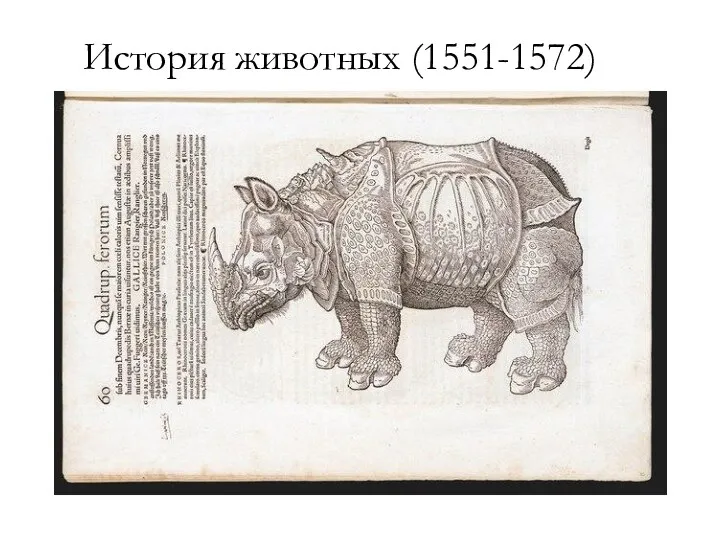 История животных (1551-1572)