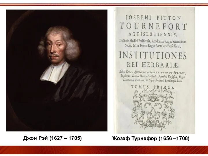 Джон Рэй (1627 – 1705) Жозеф Турнефор (1656 –1708)