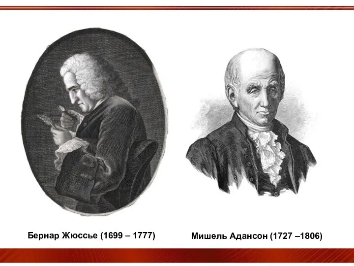 Бернар Жюссье (1699 – 1777) Мишель Адансон (1727 –1806)