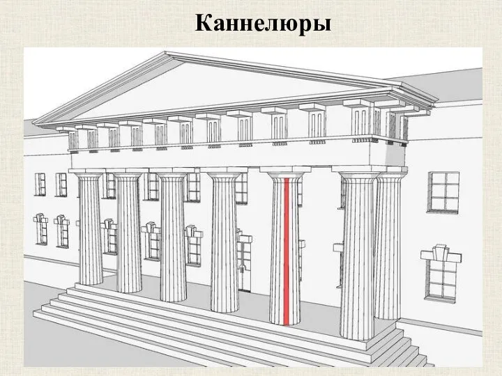 Каннелюры