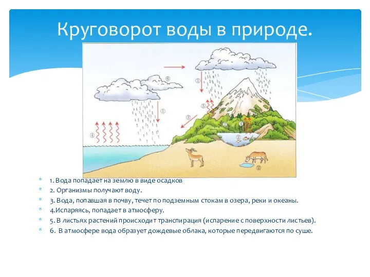 Круговорот воды в природе. 1. Вода попадает на землю в