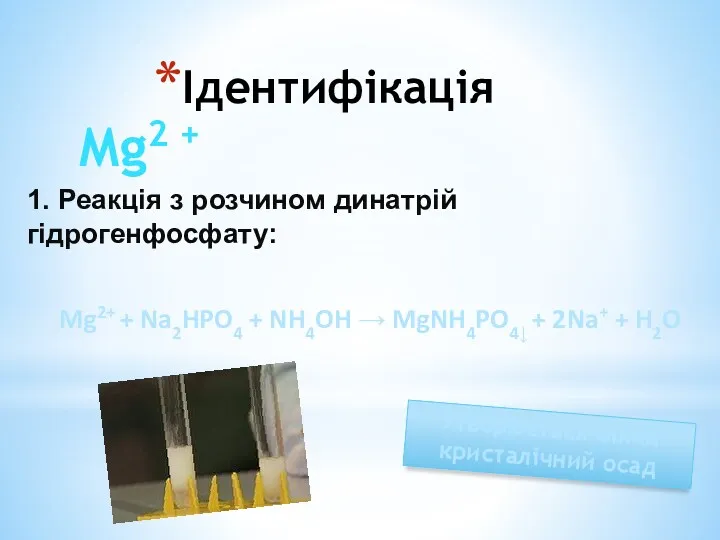 Ідентифікація Mg2 + 1. Реакція з розчином динатрій гідрогенфосфату: Mg2+