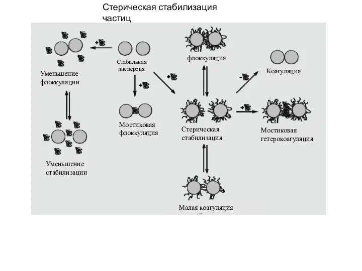 Стерическая стабилизация частиц Уменьшение флоккуляции Уменьшение стабилизации Мостиковая флоккуляция Стабильная