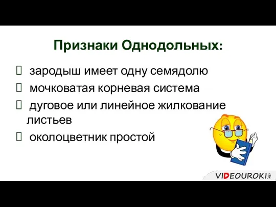 Признаки Однодольных: зародыш имеет одну семядолю мочковатая корневая система дуговое или линейное жилкование листьев околоцветник простой