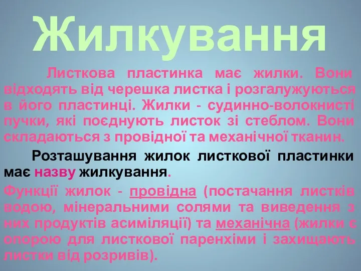 Жилкування Листкова пластинка має жилки. Вони відходять від черешка листка