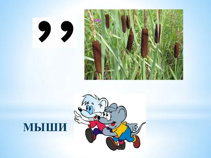 МЫШИ