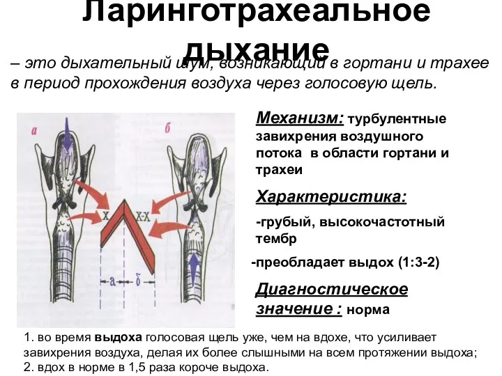 Ларинготрахеальное дыхание Механизм: турбулентные завихрения воздушного потока в области гортани