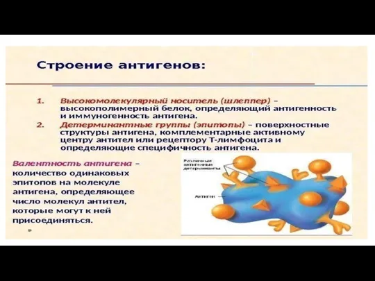 Специфичность антигенов зависит от особых участков молекул белков и полисахаридов, называемых эпитопами. Эпитопы