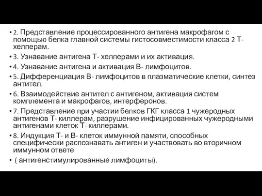 2. Представление процессированного антигена макрофагом с помощью белка главной системы гистосовместимости класса 2