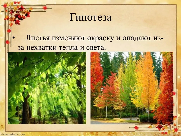 Гипотеза Листья изменяют окраску и опадают из-за нехватки тепла и света.