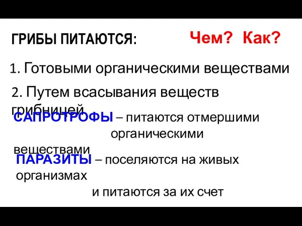 ГРИБЫ ПИТАЮТСЯ: 1. Готовыми органическими веществами 2. Путем всасывания веществ грибницей САПРОТРОФЫ –