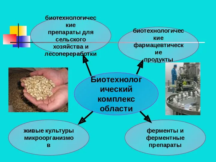 Биотехнологический комплекс области биотехнологические препараты для сельского хозяйства и лесопереработки