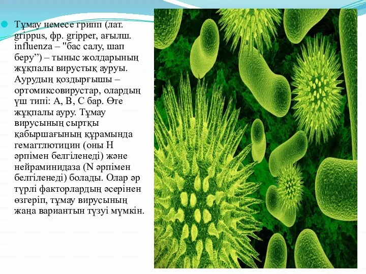 Тұмау немесе грипп (лат. grіppus, фр. grіpper, ағылш. influenza –