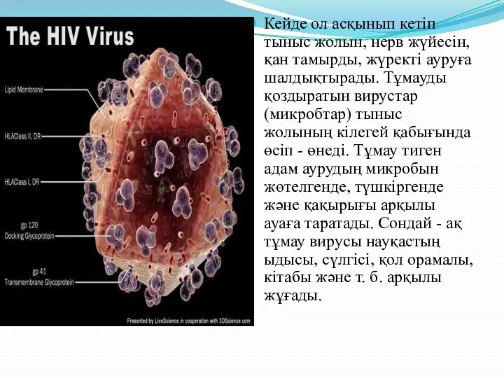 Кейде ол асқынып кетіп тыныс жолын, нерв жүйесін, қан тамырды,