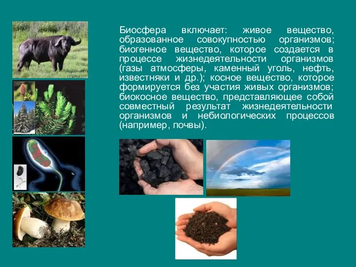 Биосфера включает: живое вещество, образованное совокупностью организмов; биогенное вещество, которое создается в процессе