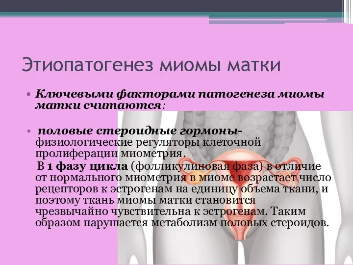 Этиопатогенез миомы матки Ключевыми факторами патогенеза миомы матки считаются: половые стероидные гормоны- физиологические