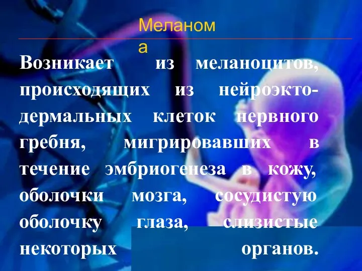 Меланома Возникает из меланоцитов, происходящих из нейроэкто-дермальных клеток нервного гребня,