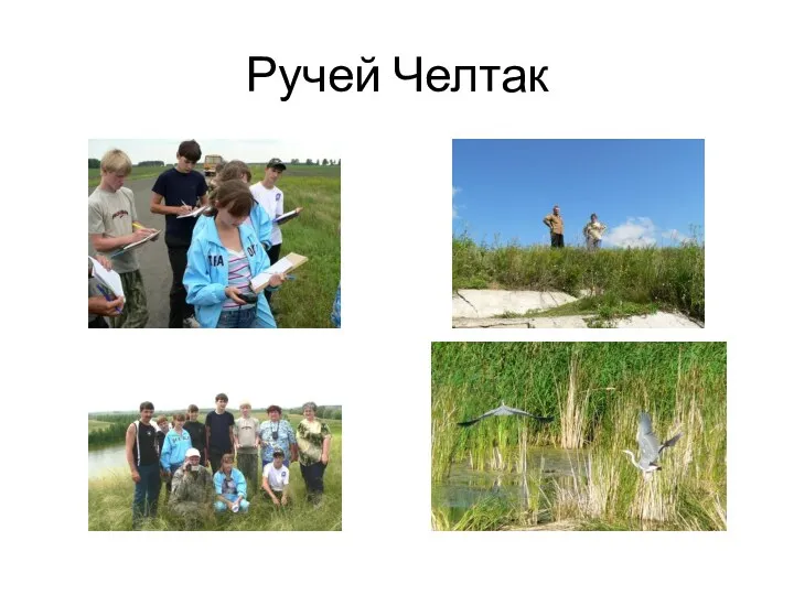 Ручей Челтак