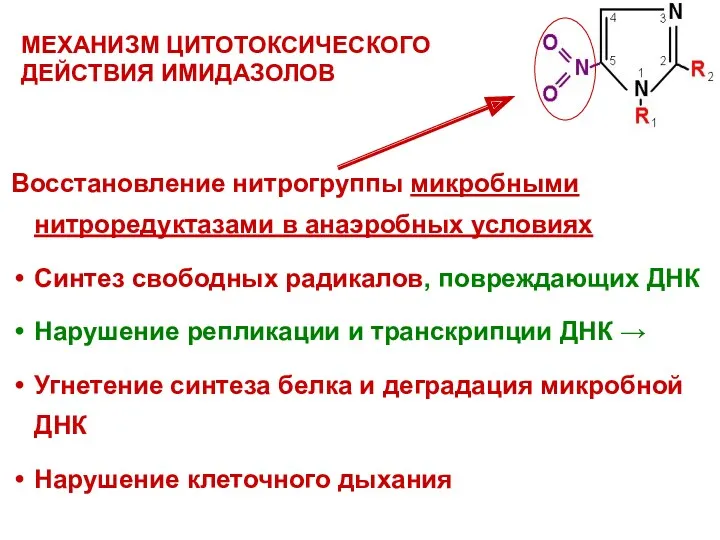 Восстановление нитрогруппы микробными нитроредуктазами в анаэробных условиях Синтез свободных радикалов,