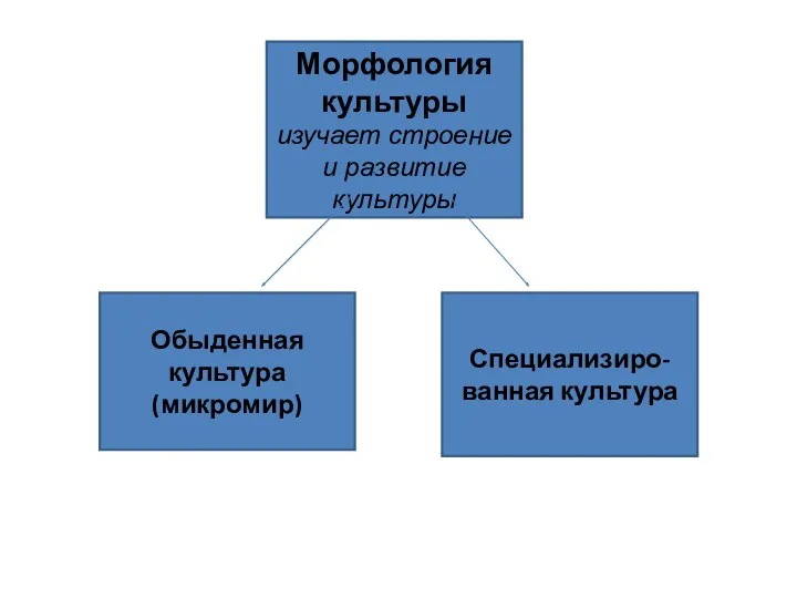 Морфология культуры изучает строение и развитие культуры Специализиро-ванная культура Обыденная культура (микромир)