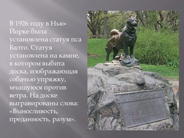 В 1926 году в Нью-Йорке была установлена статуя пса Балто. Статуя установлена на