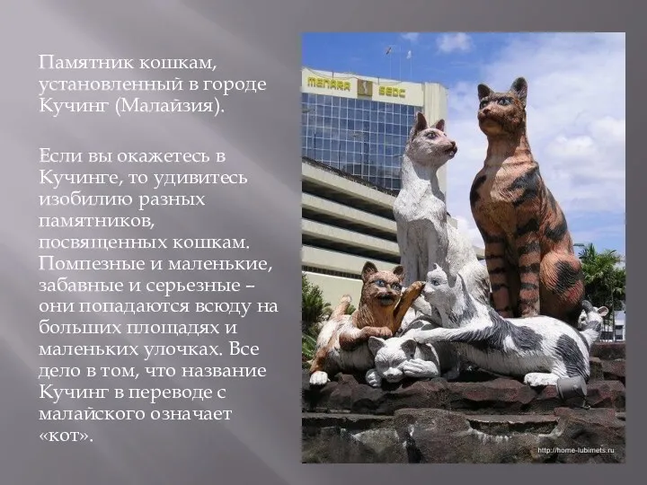 Памятник кошкам, установленный в городе Кучинг (Малайзия). Если вы окажетесь в Кучинге, то