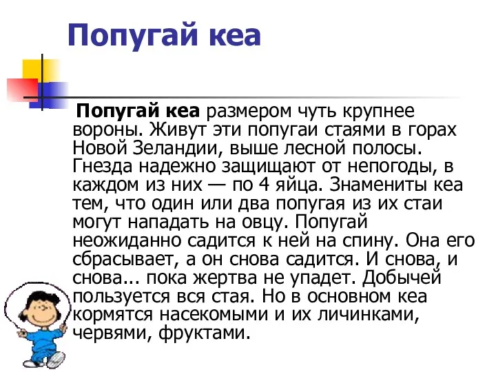 Попугай кеа Попугай кеа размером чуть крупнее вороны. Живут эти