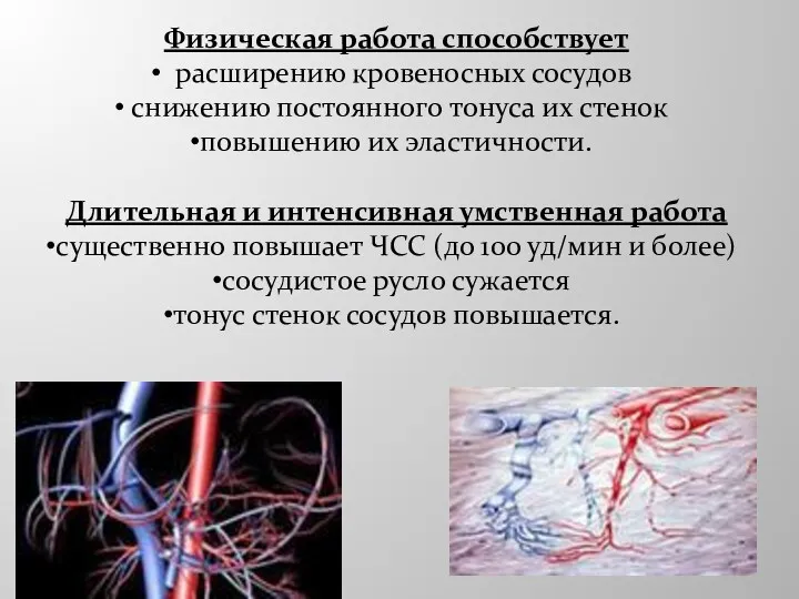 Физическая работа способствует расширению кровеносных сосудов снижению постоянного тонуса их