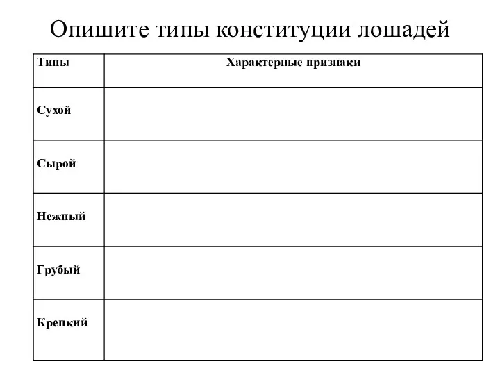 Опишите типы конституции лошадей