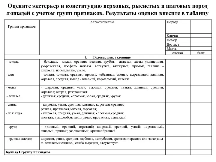 Оцените экстерьер и конституцию верховых, рысистых и шаговых пород лошадей