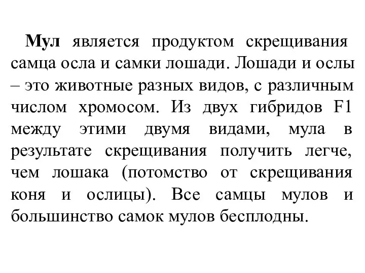 Мул является продуктом скрещивания самца осла и самки лошади. Лошади