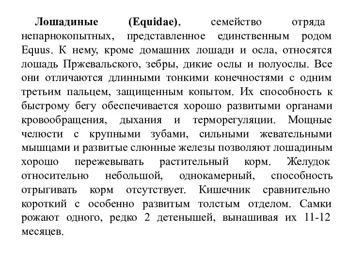 Лошадиные (Equidae), семейство отряда непарнокопытных, представленное единственным родом Equus. К