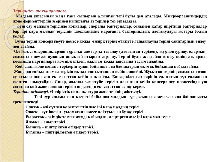 Тері өңдеу технологиясы. Малдың ұшасынан жаңа ғана сыпырып алынған тері