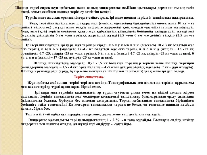 Шошқа терісі сирек жүн қабатына және қалың эпидермиске ие.Шаш қалталары дерманы толық тесіп