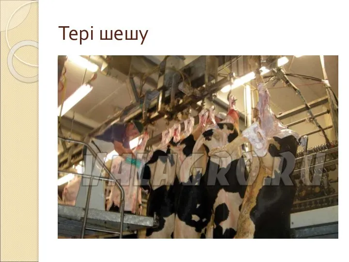 Тері шешу