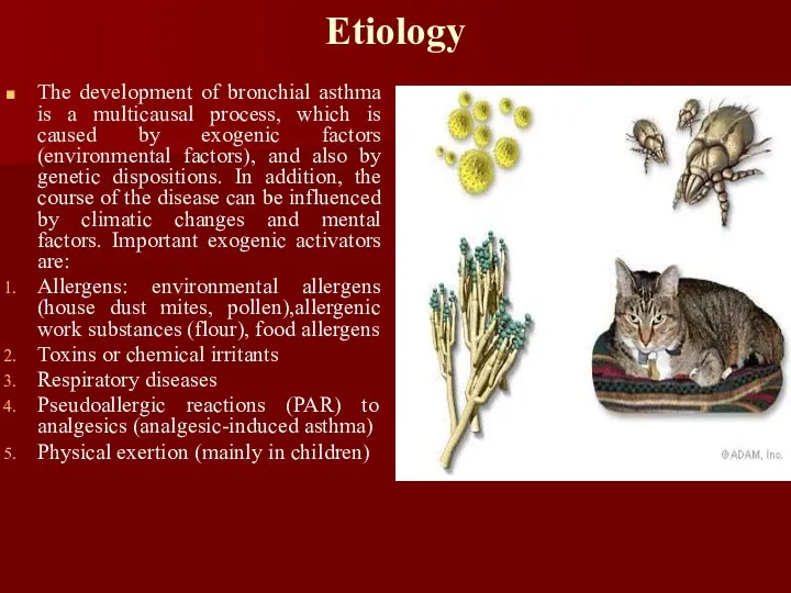 Etiology The development of bronchial asthma is a multicausal process,