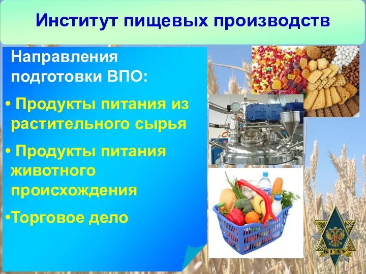 Институт пищевых производств Направления подготовки ВПО: Продукты питания из растительного