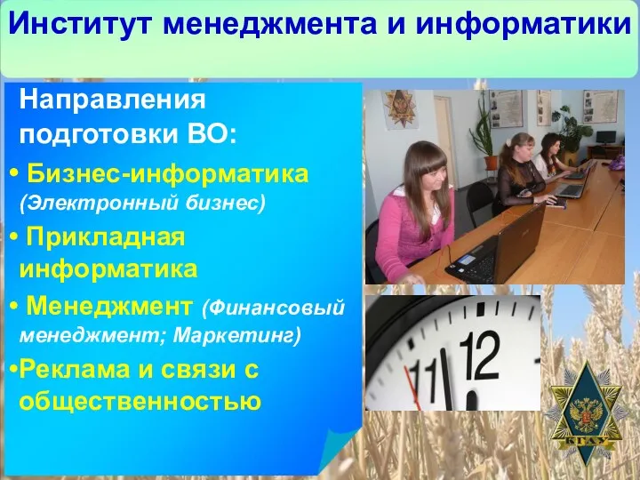 Институт менеджмента и информатики Направления подготовки ВО: Бизнес-информатика (Электронный бизнес)