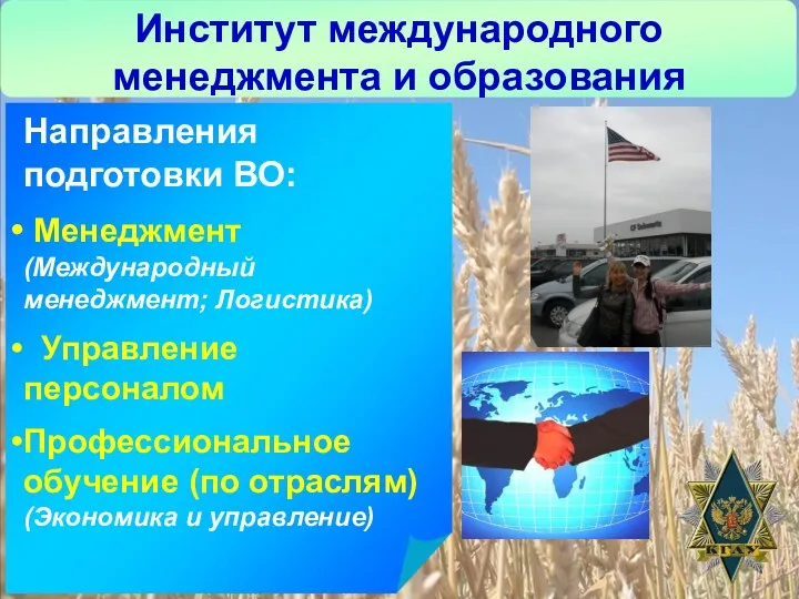 Институт международного менеджмента и образования Направления подготовки ВО: Менеджмент (Международный