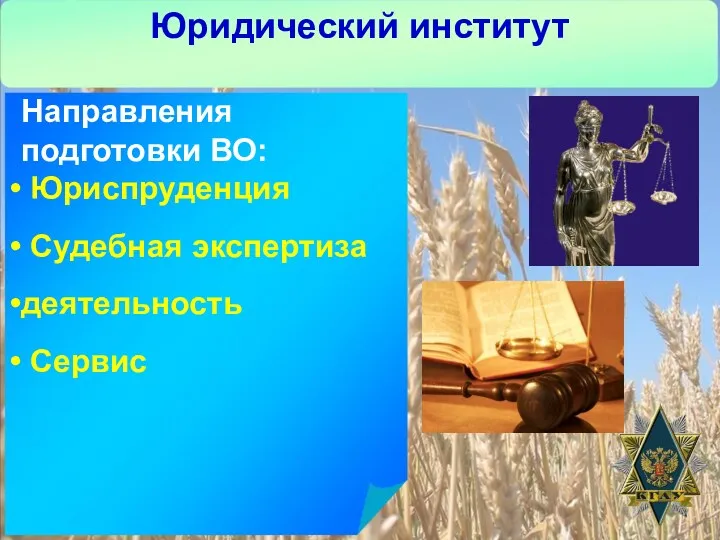 Юридический институт Направления подготовки ВО: Юриспруденция Судебная экспертиза деятельность Сервис